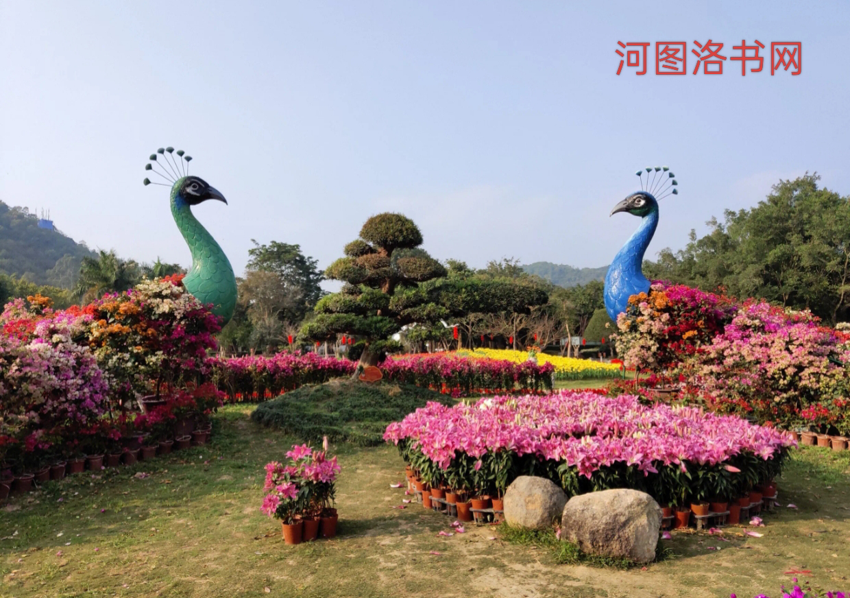 漳州市东南花都花博园景区.png