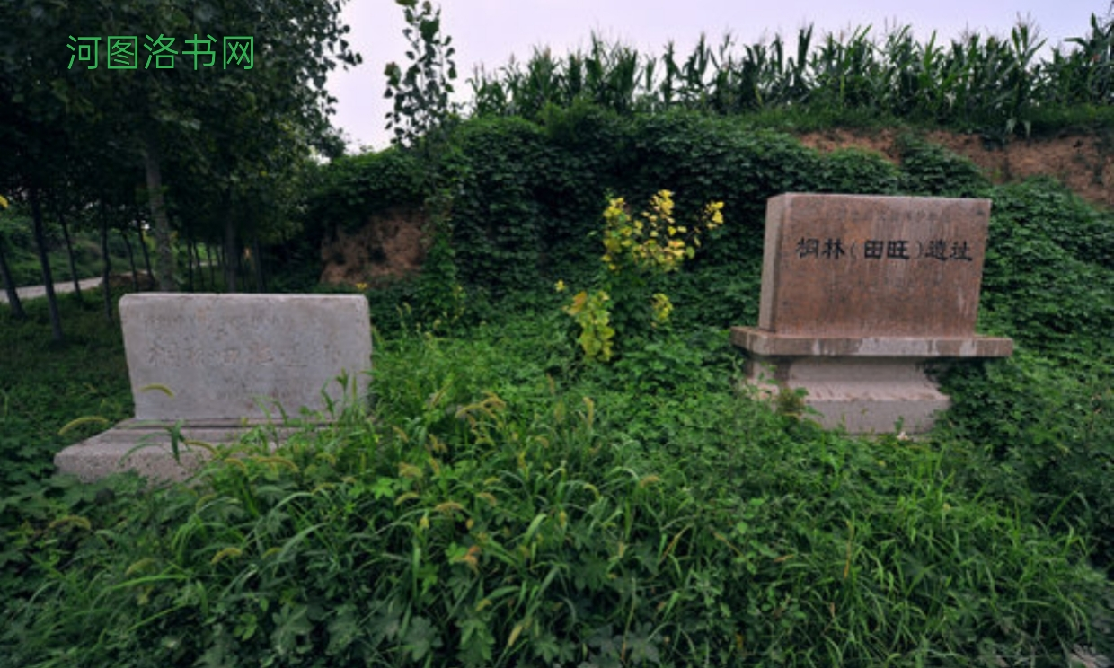 探秘桐林（田旺）遗址：穿越时光的文明印记.png