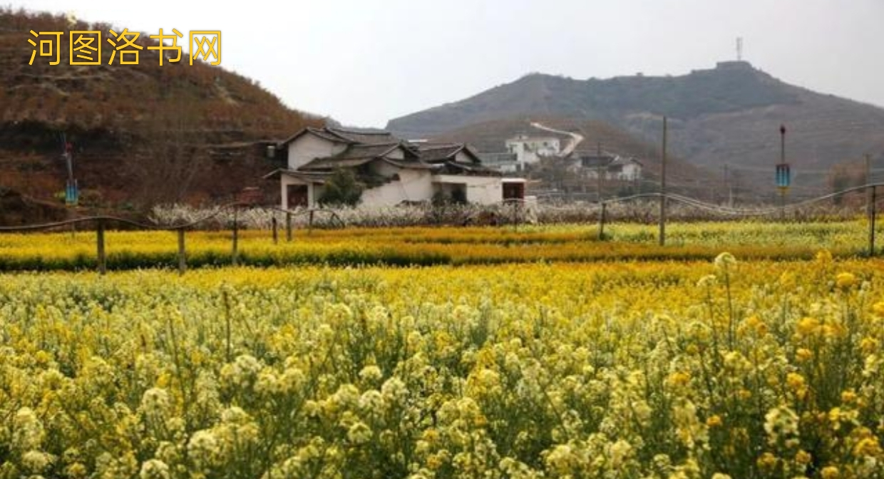 会理市彰冠镇：阳光沃土上的生态绿洲与活力乡镇.png