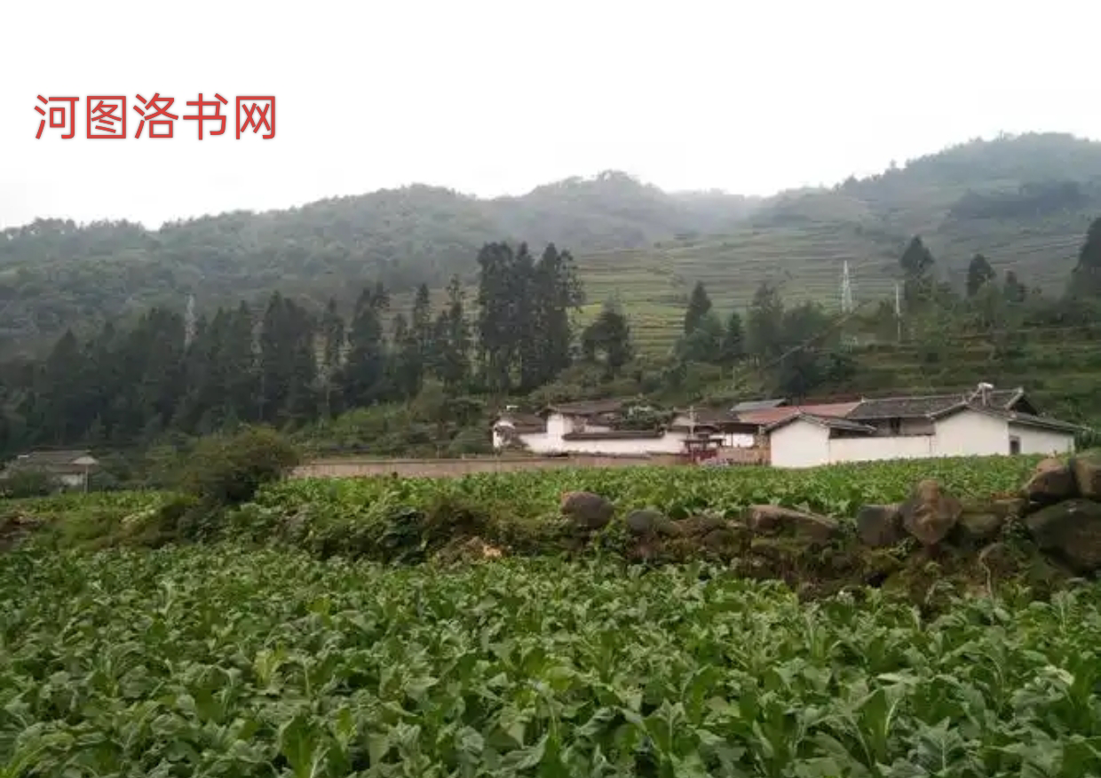 会理市马宗乡：深山里的隐秘角落.png