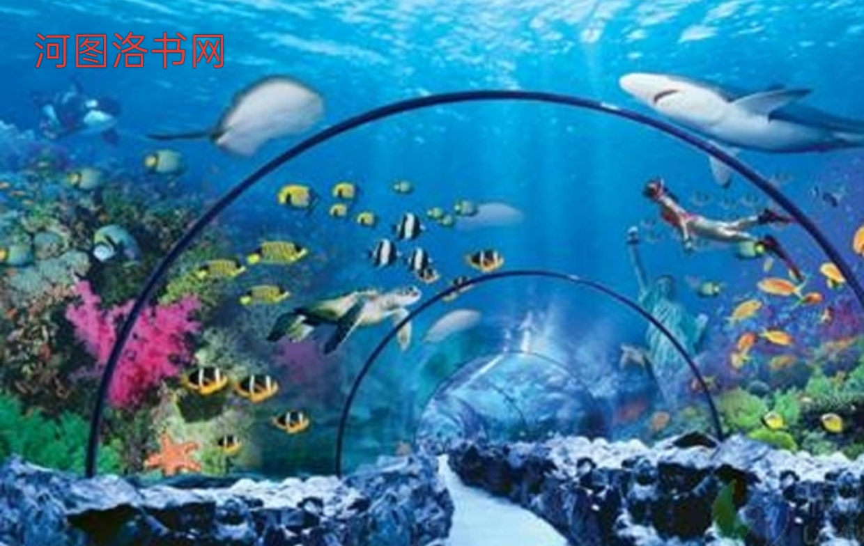 三亚亚龙湾海底世界：潜入蔚蓝的梦幻秘境.png