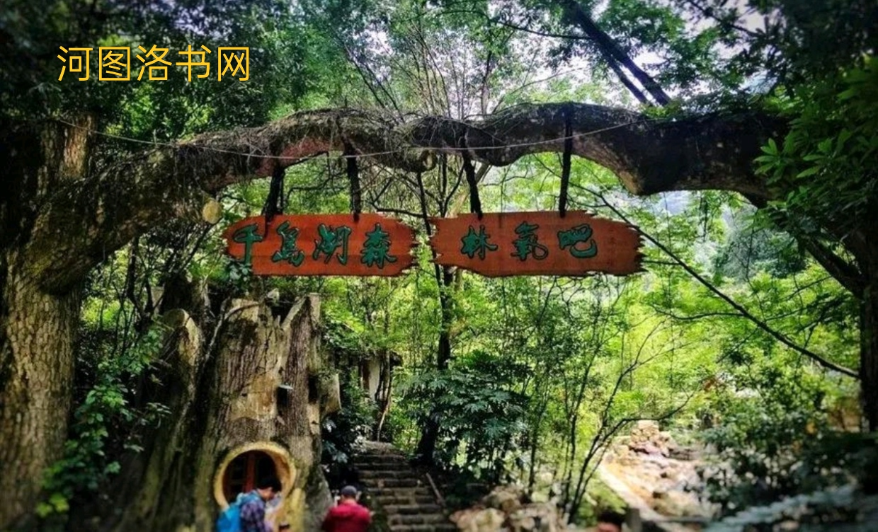 千岛湖森林氧吧.png