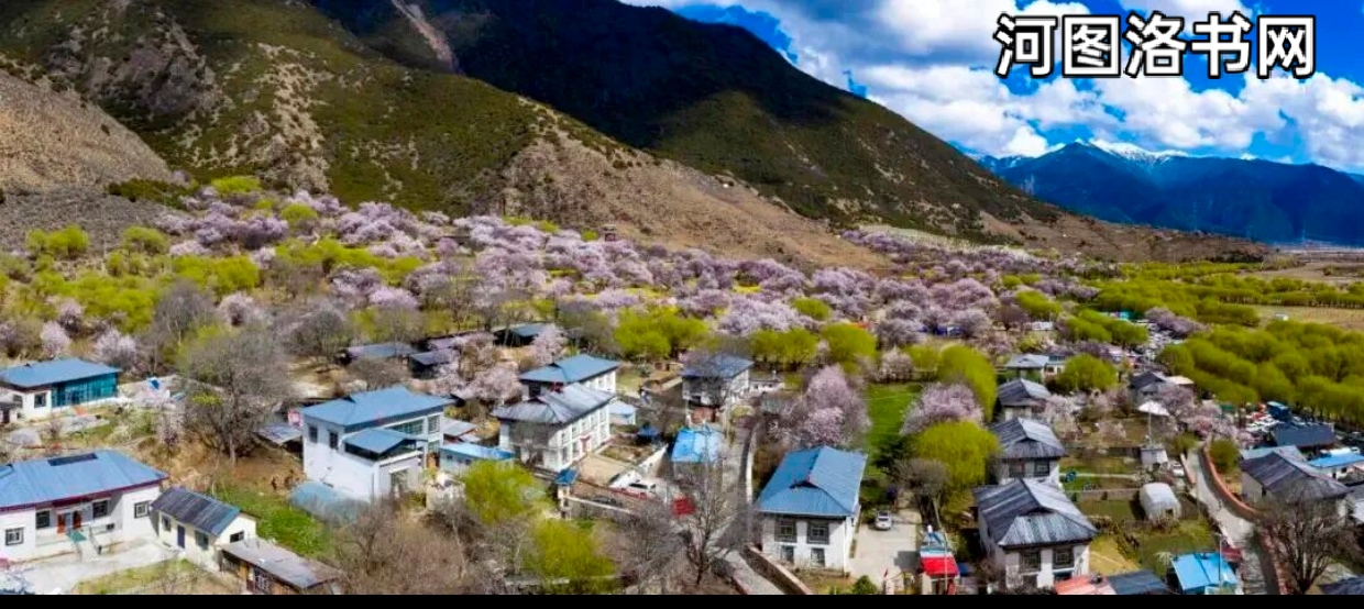 西藏桃花第一村：嘎拉村.png
