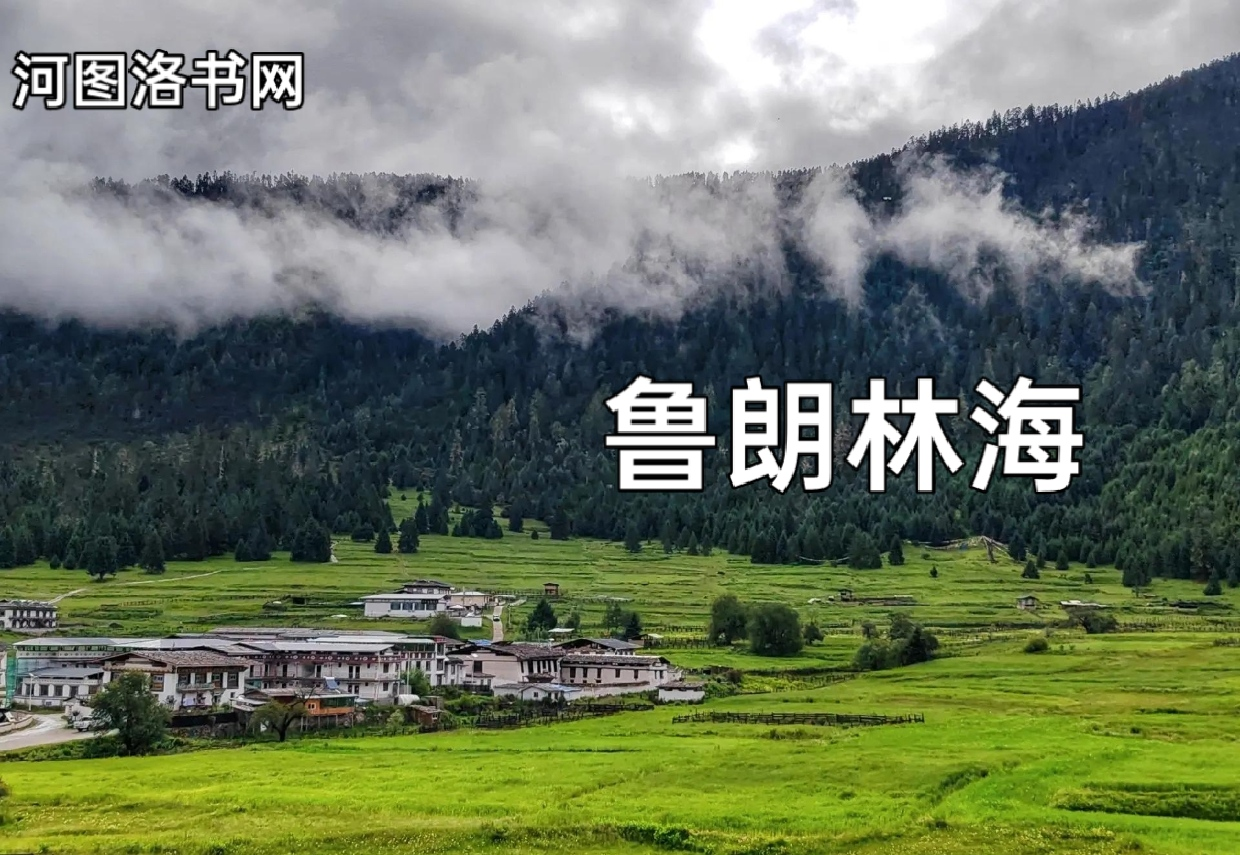 龙王谷:鲁朗林海.png