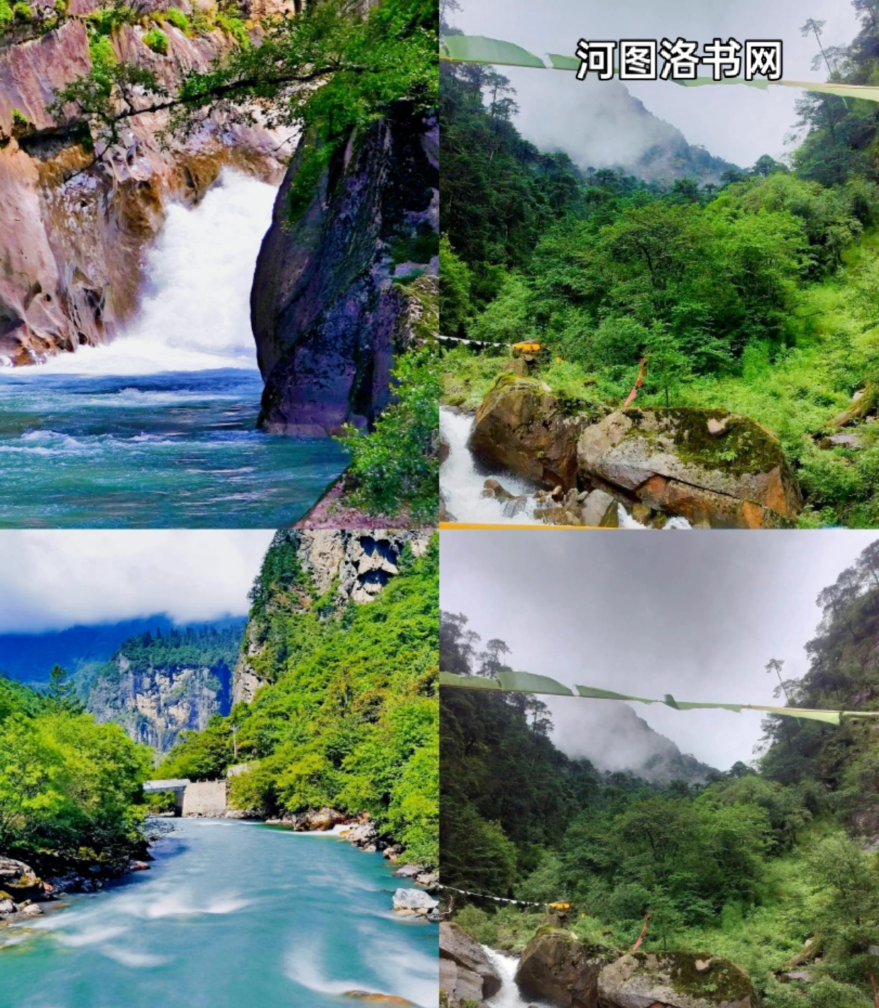 西藏小江南：勒布沟﻿.png