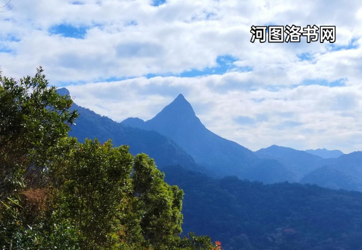 尖峰岭国家森林公园.png