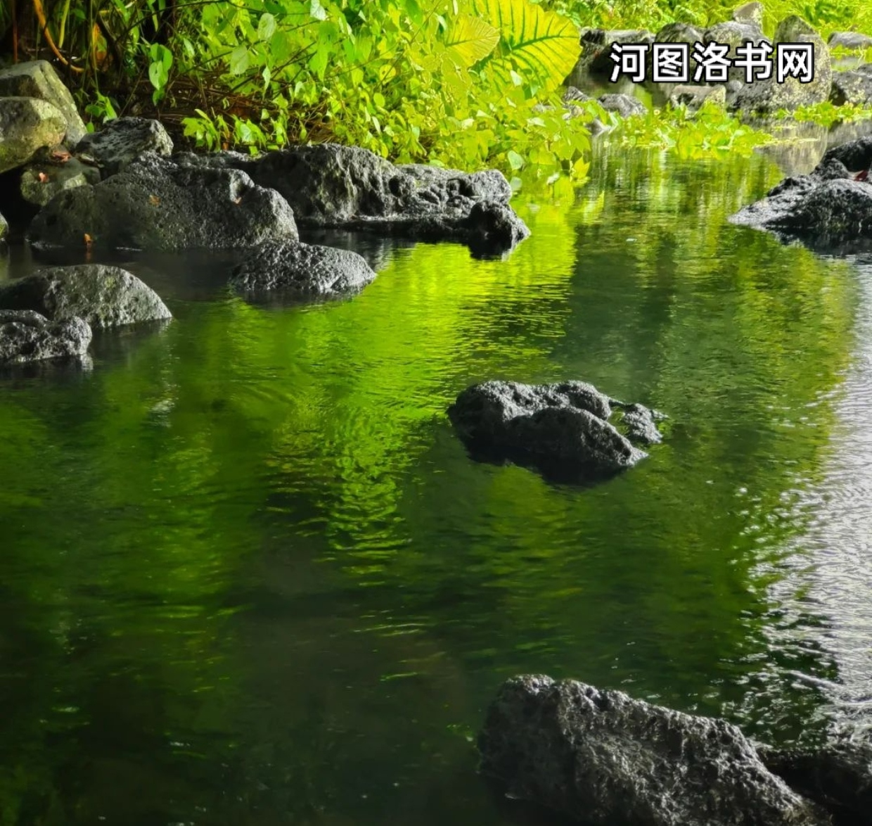 久温塘冷泉.png