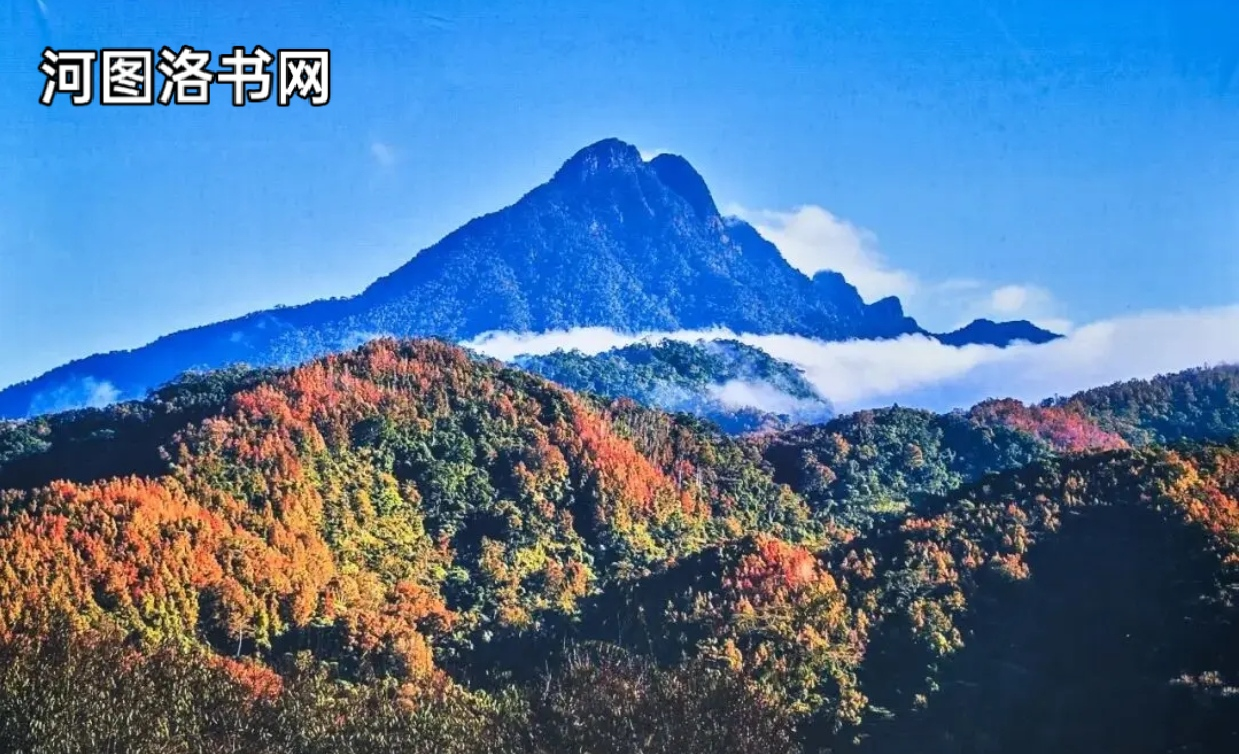 五指山热带雨林风景区.png